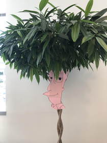 Turned the plant in my office into Bob