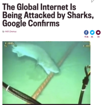 Turns out sharks arent modern creatures They despise technology and everything that came with it