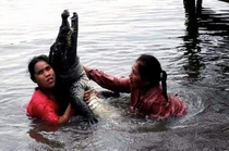 Two Vietnamese women trying to save Corocodile from drowning