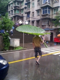 Umbrella swag