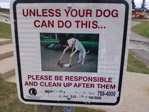 Unless your dog can do this