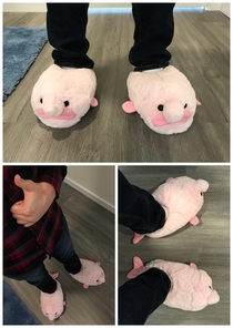 Update this is what the blobfish slippers look like when you wear them Im not saying theyre the greatest shoe in existence but they are