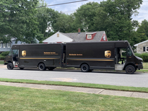UPS trucks mating in the wild
