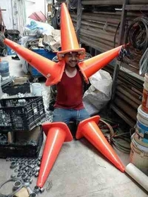 Urban Dictionary has a much different definition of Mexican Starfish