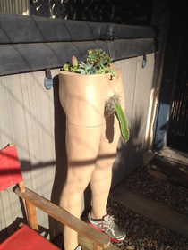 Very cool succulent planter 