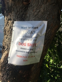 Very targeted sarcastic messaging for yoga enthusiast dog owners
