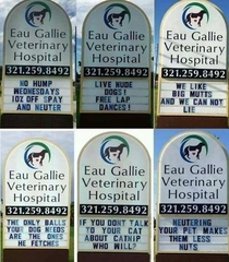 Veterinary Hospital Billboard
