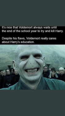 Voldemort really cares about Harrys Education