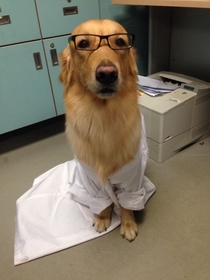 Walked into the lab at work and met our new Professor