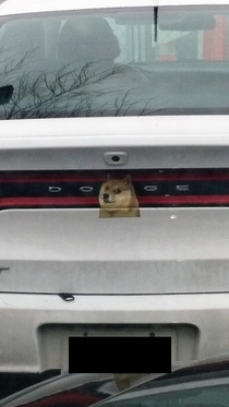 Was Driving to Work and Saw a  Doge Dart Much Wow