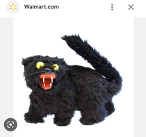Was Looking At Pictures of Black Cats Hissing This Showed Up