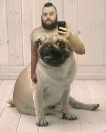 Was looking for a image of a dog wearing a shirt Could have never expected this