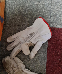 Was walking to the kitchen this morning looked down and got played by a random glove on the ground