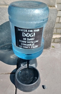 Water bowl outside pet store