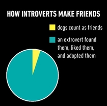 We all need an extrovert in our life