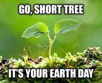 We gonna plant trees like its ya earth day