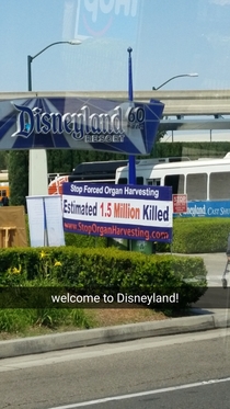 Welcome to Disneyland