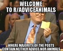 Welcome to radviceanimals