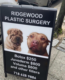 Well if Botox worked that well for the dog maybe Ill try it
