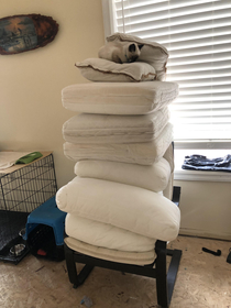 Went to do laundry princess and the pea inevitably happened