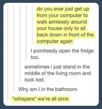 Were all sims