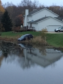 Were truly witnessing something rare as the wild SUV takes a drink out of the pond It has traveled many miles to quench its thirst