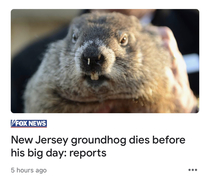 What does it mean when the groundhog DIES
