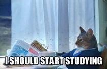 What every collegeuniversity student is thinking right now