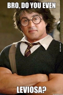 What if Sylvester Stallone was in Harry Potter