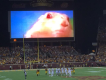 What opposing kickers see at University of Minnesotas stadium