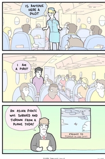 What really happened on the united plane