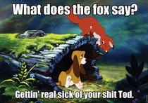 What the fox say