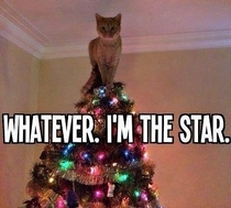 Whatever Im the star