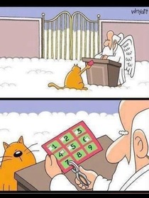 When all good cats go to Heaven