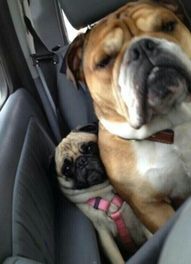 When Im the smallest person in a packed car