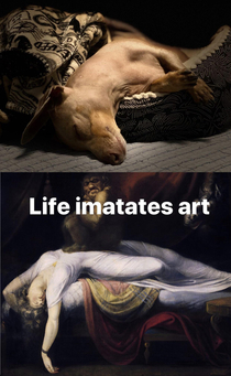 When Life imitates art
