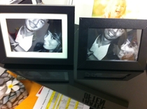 When my boss was on vacay I switched the pic of his gf and him on his desk with a pic of myself and a co-workernailed it