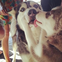 When my girlfriend kisses me in front of her parents