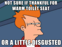 When the toilet seat is still warm