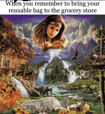 When you come to the grocery store with your own reusable bags