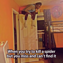 When you try to kill a spider