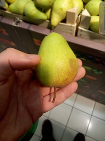 When youre a pear and then something goes wrong