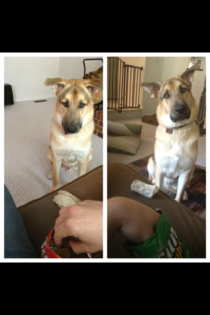 Whenever I eat sun chips somebody always wants to trade