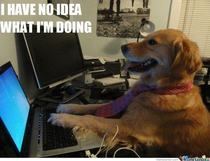 Whenever I have to write code on my Computer Science written exam