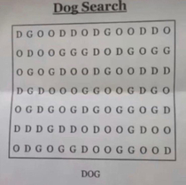 Where dog