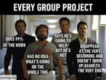 Which  is you during final year project