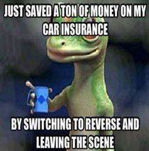 Who needs insurance anyway