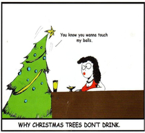 Why Christmas trees dont drink