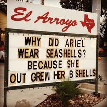 Why did Ariel wear seashells