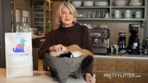 Why is Martha Stewarts cat sitting in a giant guacamole bowl in this commercial